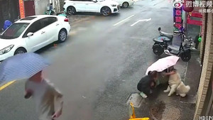 Người phụ nữ bị biến dạng mặt sau khi vuốt ve con chó nằm bên đường