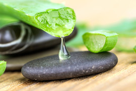 Dùng nha đam có giảm cháy nắng, làm dịu da?