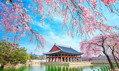 Đi du lịch Hàn Quốc cần chuẩn bị gì? 