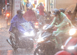 Dự báo thời tiết ngày 16/10: Đà Nẵng đến Quảng Ngãi mưa rất to