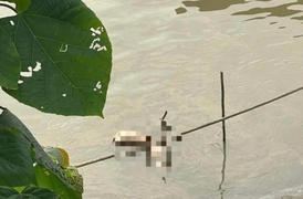 Thi thể nữ giới bị phân mảnh ở Hà Nội: Bắt được nghi phạm