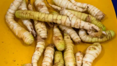 Ăn củ dong có tác dụng gì?
