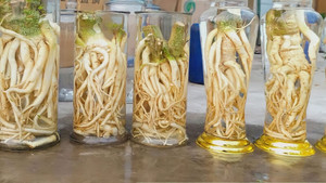 Tác hại của rượu đinh lăng 