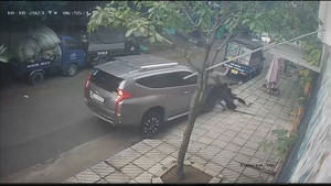 Tài xế ô tô đâm hai tên 'cẩu tặc' ngã lộn nhào trên đường