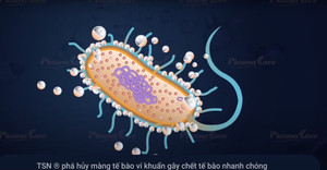 Kháng sinh không có tác dụng đối với bệnh hô hấp do virus