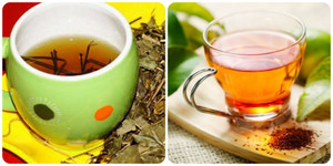 Nước vối rất tốt nhưng lại 'đại kỵ' với những nhóm người sau