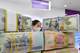 Phó Thống đốc: 'Chấp nhận tỷ giá nhảy múa, nếu cứng đơ thì không là thị trường'