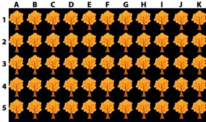 Cây nào khác biệt nhất so với những cây còn lại?