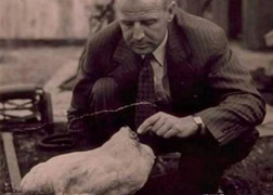 Hé lộ bí mật ly kỳ con gà bị mất đầu vẫn sống khỏe, kiếm bội tiền cho chủ