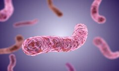 Người phụ nữ ở Quảng Nam tử vong do nhiễm vi khuẩn 'ăn thịt người'