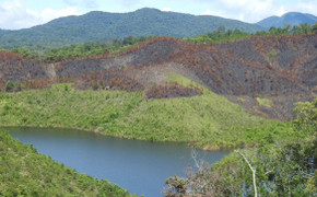 Hơn 400 cán bộ bảo vệ rừng ở Kon Tum xin nghỉ việc