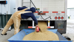 Trung Quốc bất ngờ mua nông sản Mỹ sau nhiều năm