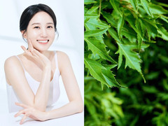 Cách tắm trắng bằng lá đinh lăng