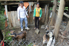 Bỏ phố về quê làm hợp tác xã làm giàu