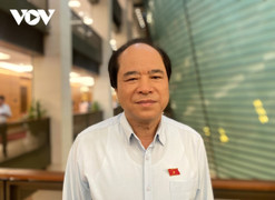 Đại biểu Quốc hội: Khởi tố Ngọc Trinh là hồi chuông cảnh tỉnh, có tính răn đe