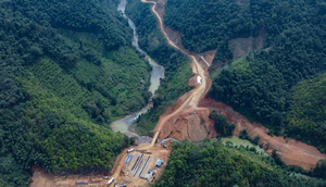 Bộ Nông nghiệp đồng ý chuyển đổi 658 ha rừng làm 23 dự án