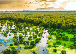 Rừng tràm đẹp nhất Việt Nam thuộc tỉnh nào? 