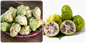 Loại quả xấu xí được coi là 'thuốc chống ung thư tự nhiên', hạ huyết áp hiệu quả