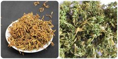 5 công dụng của hoa đu đủ đực ít người biết