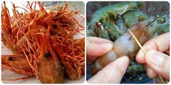 Những bộ phận 'cực độc' của tôm bạn không nên ăn