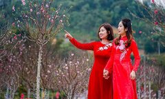 Năm 2024, người lao động được nghỉ bao nhiêu ngày lễ, Tết?