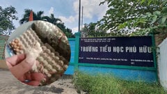 Trường Tiểu học bác tin dùng thực phẩm bẩn, ngưng hợp đồng với công ty đồ ăn