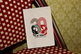 Logo mang đậm văn hóa bản địa kỷ niệm 30 năm quan hệ ngoại giao Việt Nam - UAE