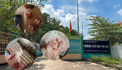 Thêm 4 trường ở TP Thủ Đức tạm ngưng cung cấp suất ăn bán trú