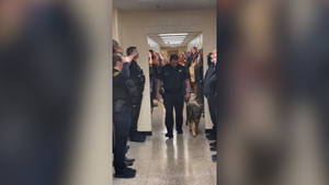 Cảnh khuyển mắc ung thư giai đoạn cuối, cảnh sát xếp hàng tri ân 