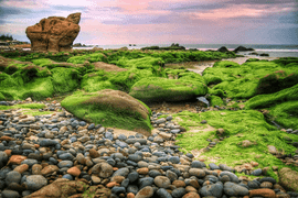 Top những địa điểm du lịch bạn không thể bỏ qua khi đến Bình Thuận