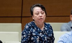 ĐBQH: Hàn Quốc mất 2 tháng, Việt Nam mất 2 năm để cập nhật danh mục thuốc
