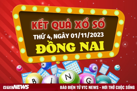 Kết quả xổ số Đồng Nai hôm nay 1/11 - XSDN 1/11/2023
