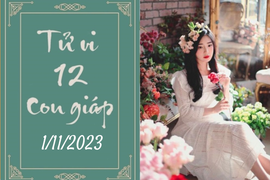 Tử vi vui 12 con giáp hôm nay ngày 1/11/2023: Thìn khó khăn, Mùi mệt mỏi