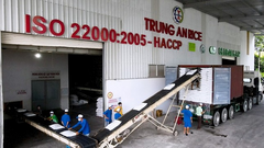 Vì sao xuất khẩu gạo cao kỷ lục, doanh nghiệp vẫn lãi ‘mỏng như lá lúa’?