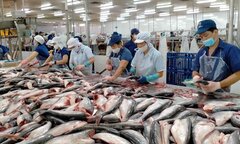 Nông, lâm, thủy sản xuất siêu trên 43 tỷ USD