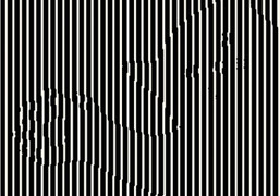 Con vật nào đang ẩn nấp sau bức ảnh này?