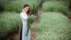 Thiếu nữ thả dáng bên cánh đồng cúc hoạ mi nở rộ ở Hà Nội