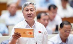 Đại biểu Quốc hội: Nhiều chính sách thuế lạc hậu hàng chục năm