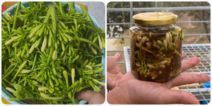 Những người không nên uống hoa đu đủ đực ngâm mật ong