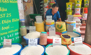 Giá gạo Việt Nam xuất khẩu lập đỉnh 15 năm