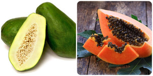 Những người không nên ăn quả đu đủ