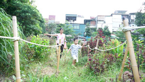 Dự án cây xanh trong phố xóa điểm đen bãi rác 