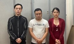 Kẻ cầm đầu đường dây ca sĩ, hoa khôi bán dâm giá 100 triệu đồng khai gì?
