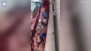 Ngư dân bàng hoàng phát hiện trong bụng con cá toàn rác thải nhựa