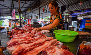 Thứ trưởng Phùng Đức Tiến: Tết không thiếu thịt lợn, gà nhưng giá chắc chắn tăng