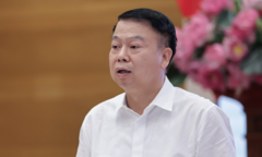Thứ trưởng Tài chính: Công ty Thành Bưởi có dấu hiệu trốn thuế