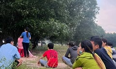 Người đàn ông livestream cảnh treo cổ rồi tự tử