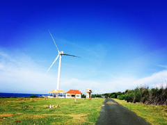 3 cánh đồng quạt gió khiến tín đồ du lịch phải trầm trồ