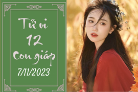Tử vi vui 12 con giáp hôm nay ngày 7/11/2023: Thìn tỉ mỉ, Tỵ tự tin