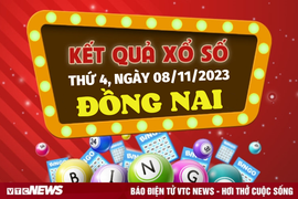 Kết quả xổ số Đồng Nai hôm nay 8/11 - XSDN 8/11/2023